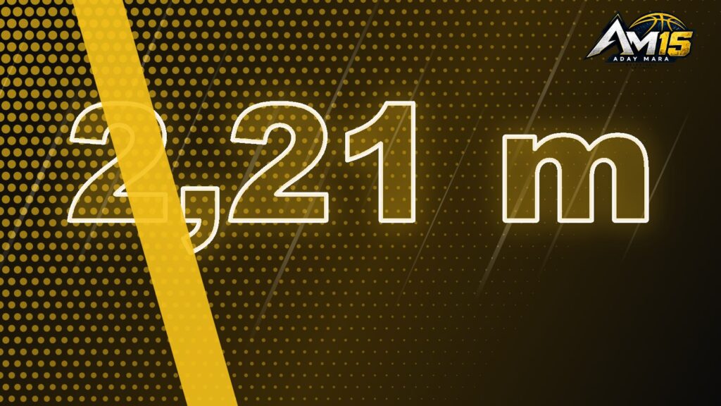 Póster Aday Mara AM15 2,21 m