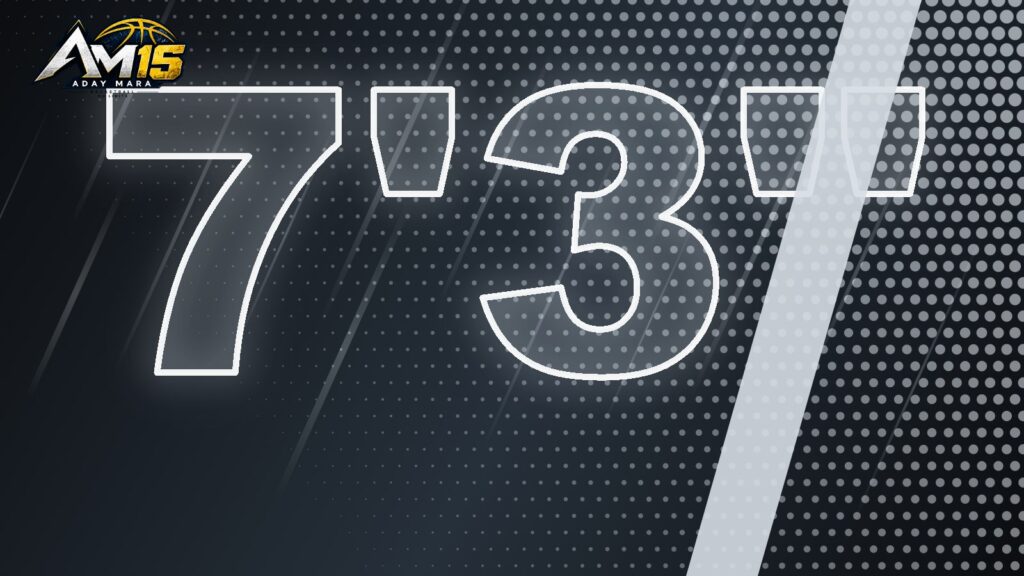 Póster Aday Mara AM15 7'3"