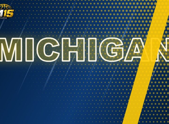 Póster Aday Mara AM15 MICHIGAN